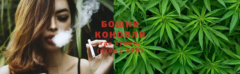 blacksprut сайт  Новоалександровск  Бошки Шишки Ganja 